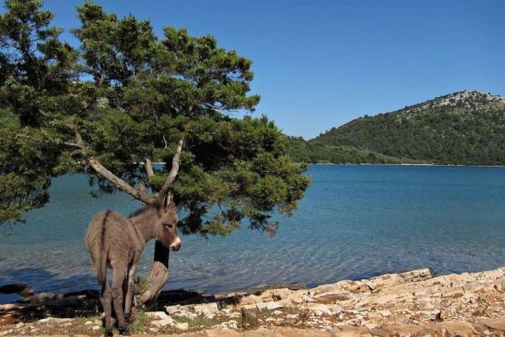 Apartment Lordanic Zaglav, Dugi Otok ภายนอก รูปภาพ